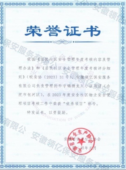 优秀项目荣誉证书